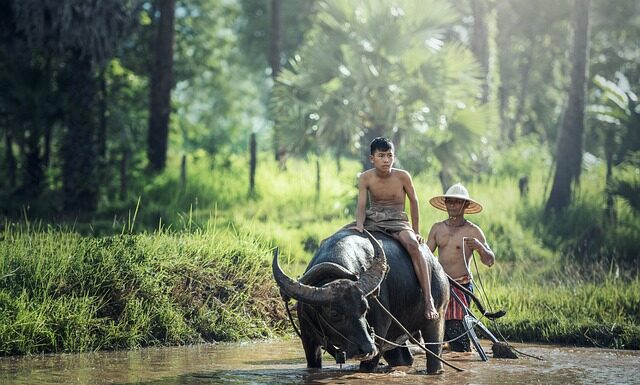 Jak pielęgnować glany? Jak pielęgnować glany?