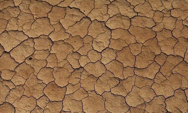 Co do bezowej kamizelki? Co do bezowej kamizelki?