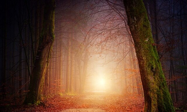 Czy można chodzić ze złamanym kręgosłupem?