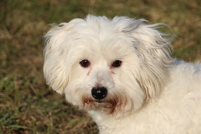 Z czym łączyć tiulową spódnicę? Z czym łączyć tiulową spódnicę?