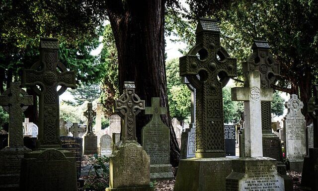 Co zamiast Dr Martens? Co zamiast Dr Martens?