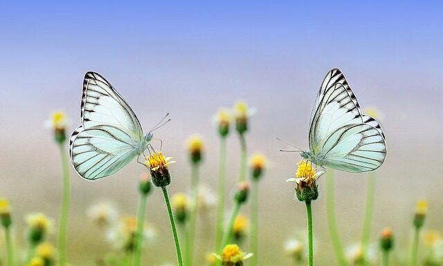 Co będzie modne na wiosnę 2023? Co będzie modne na wiosnę 2023?